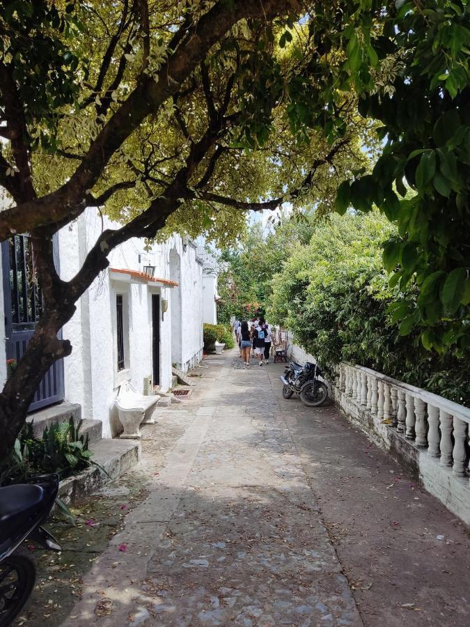 Cabana 52 En La Aldea Doradal Santorini Colombiano المظهر الخارجي الصورة